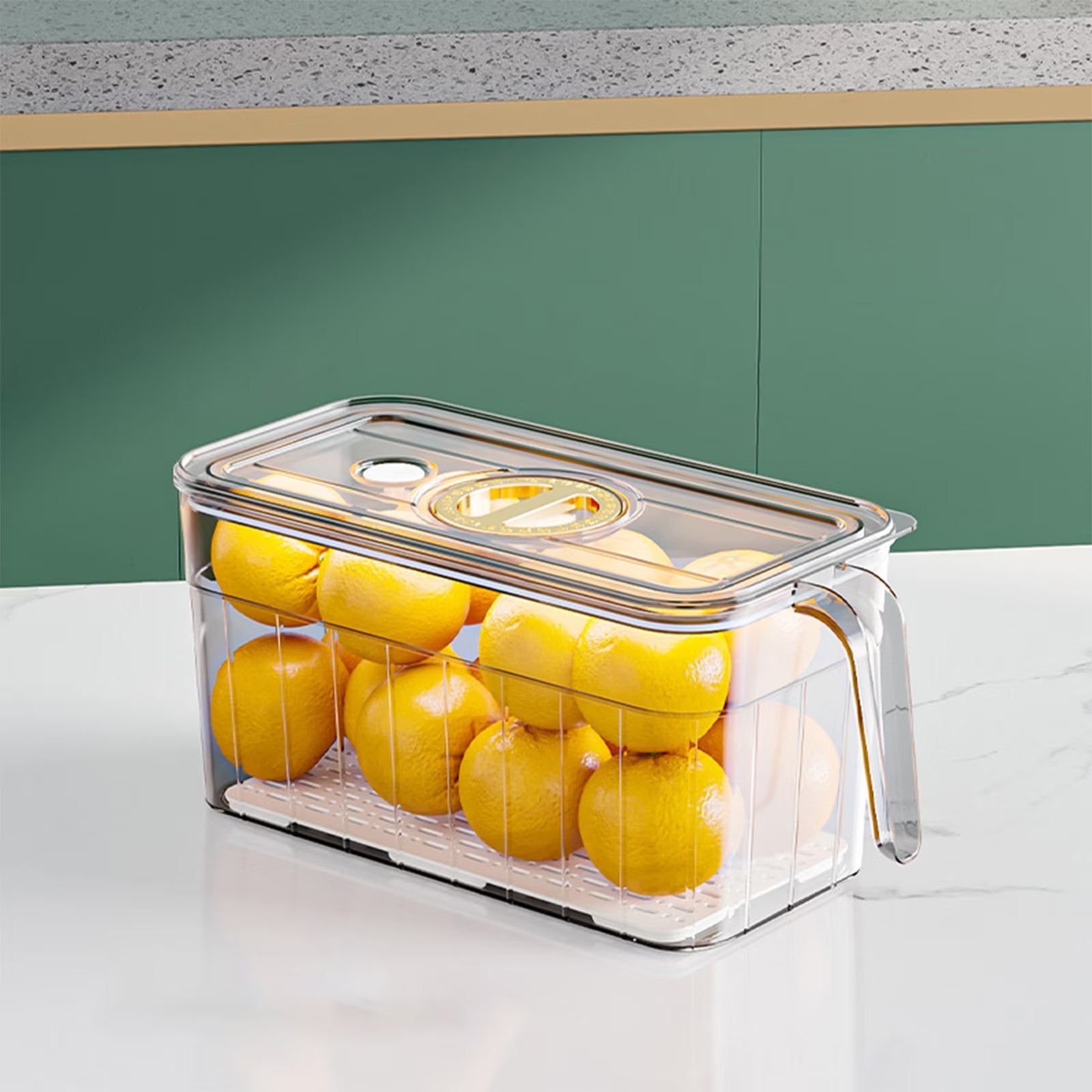 Clear View Fridge Organizer
