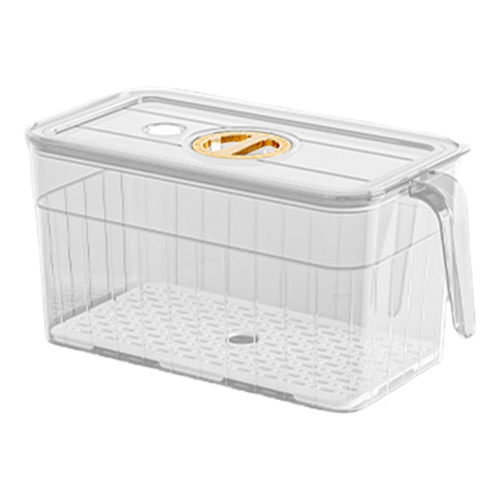 Clear View Fridge Organizer